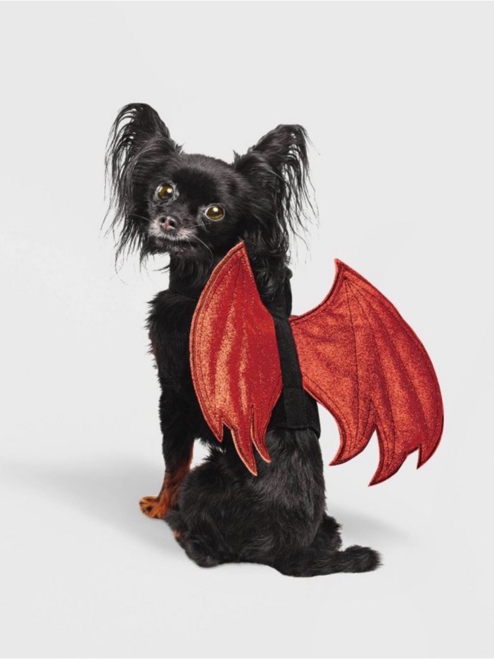 Halloween Dog or Cat Costume Reversible Red Devil or Angel Wings - XXS/S 🎃👻💀